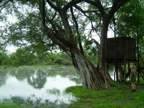 When It Rains In Africa It Rains